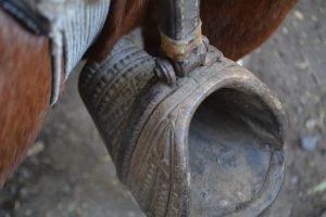 Estribo Chileno Maipo Valley Wine Tours