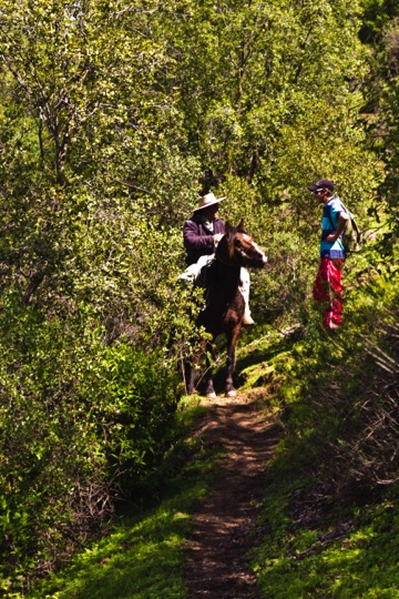 Tour por Isla de Maipo