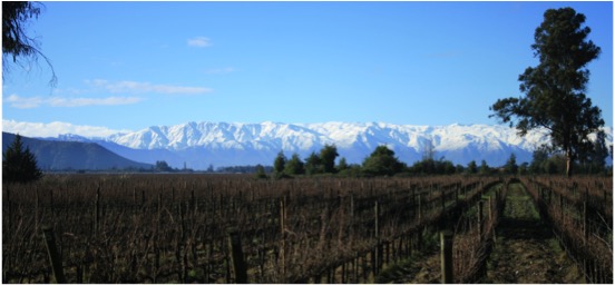 Via en invierno Maipo Valley Wine Tours