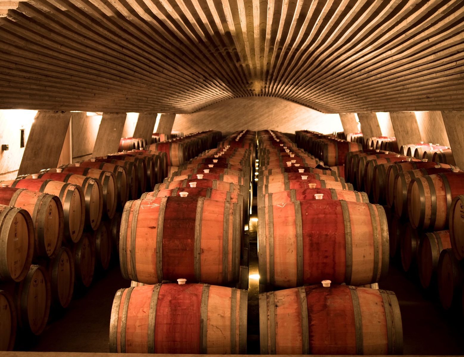 4. Maipo Valley for wine lovers - cellar