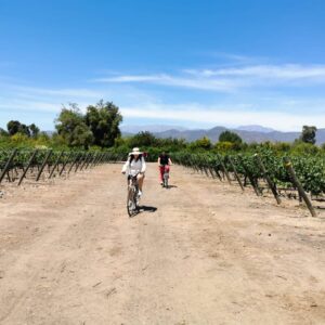 Bike wine tour from Santiago Chile