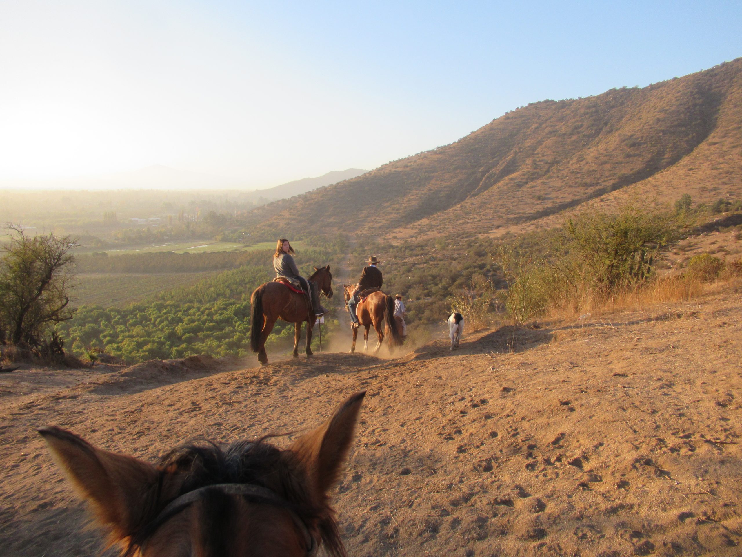 Horseback wine Tour - Up  on the hills