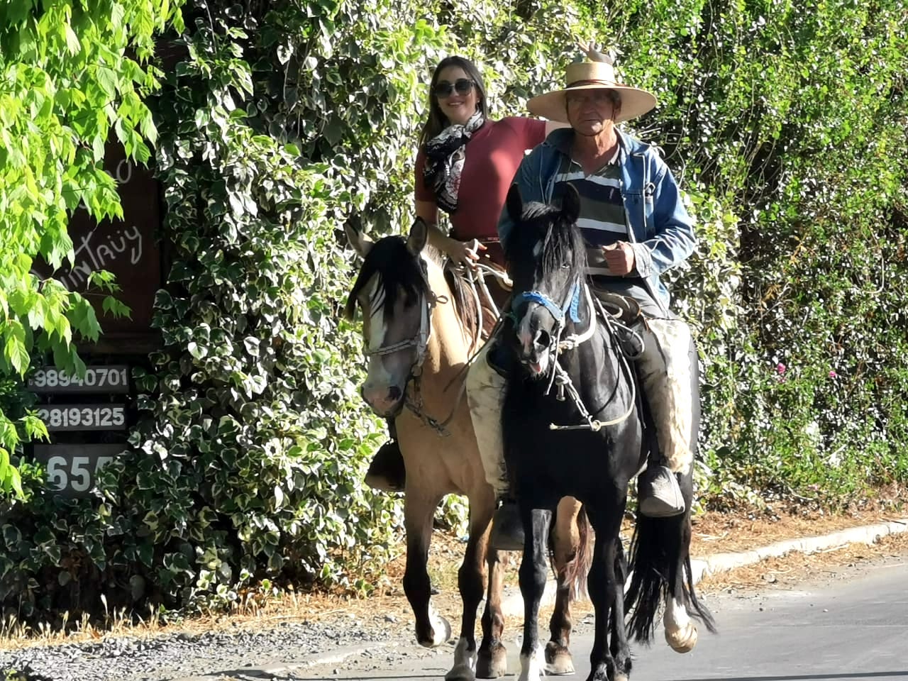 8. Maipo horseback wine tour - comming back