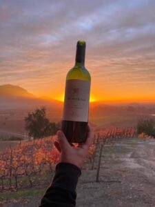 Viña el Principal Sunset