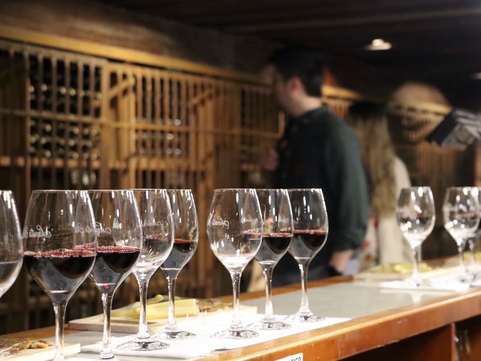 Bodega Santa Rita | Catas | Vino Aventuras Chile | Maipo Travel