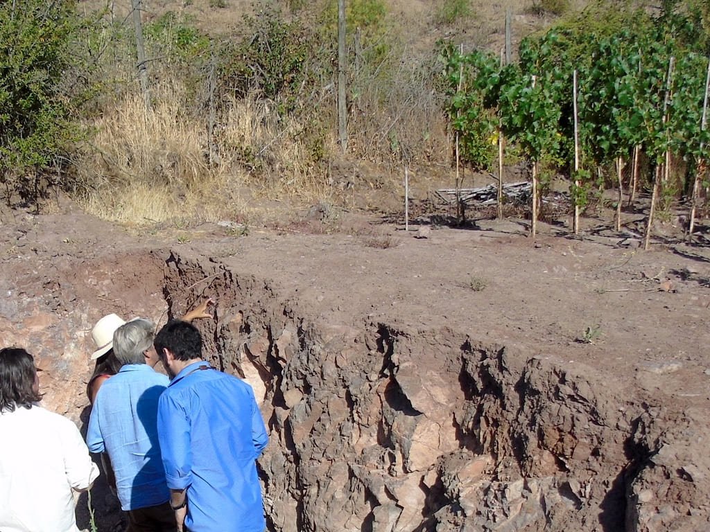 Calicata en Viña Viñateros de raíz