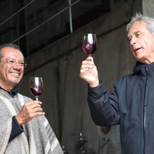 Cata de vino en Viña Las Araucarias