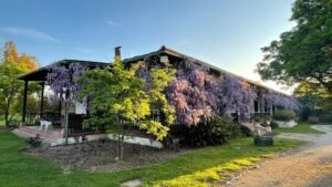 Tours de vino de lujo en Chile, Maipo Ícono la Vino Aventura Definitiva
