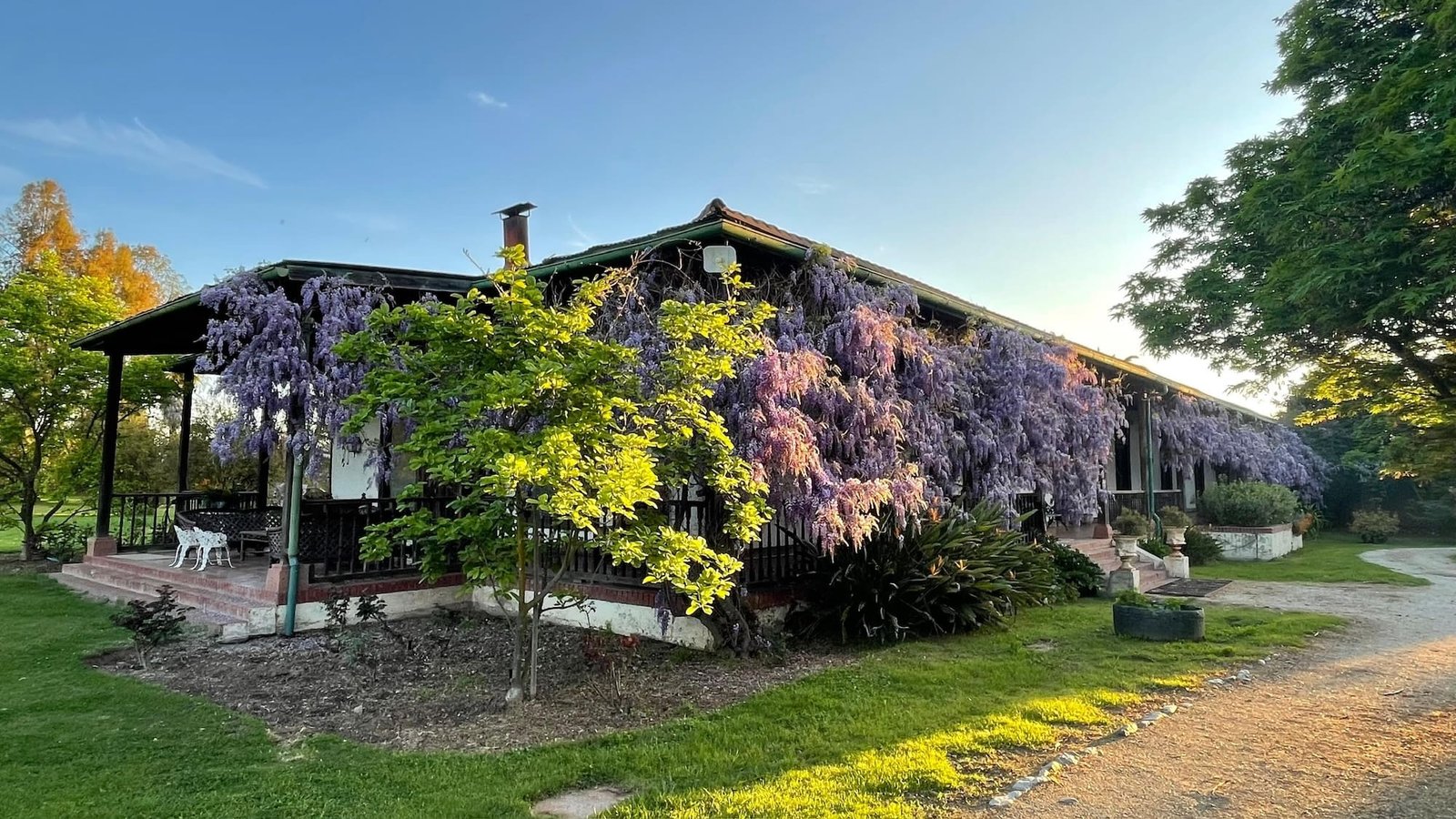 Maipo Ícono, The Ultimate Wine Adventure