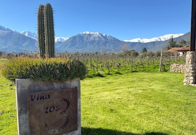 Maipo Cordillera Viña Los 3
